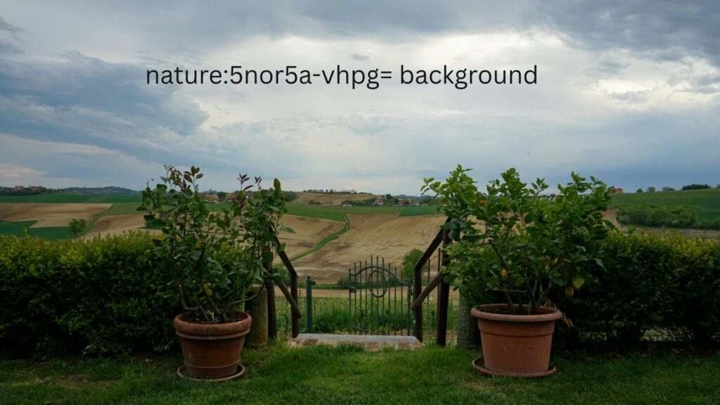 How to Use nature:5nor5a-vhpg= Background in Your Photography Projects for a Natural Aesthetic