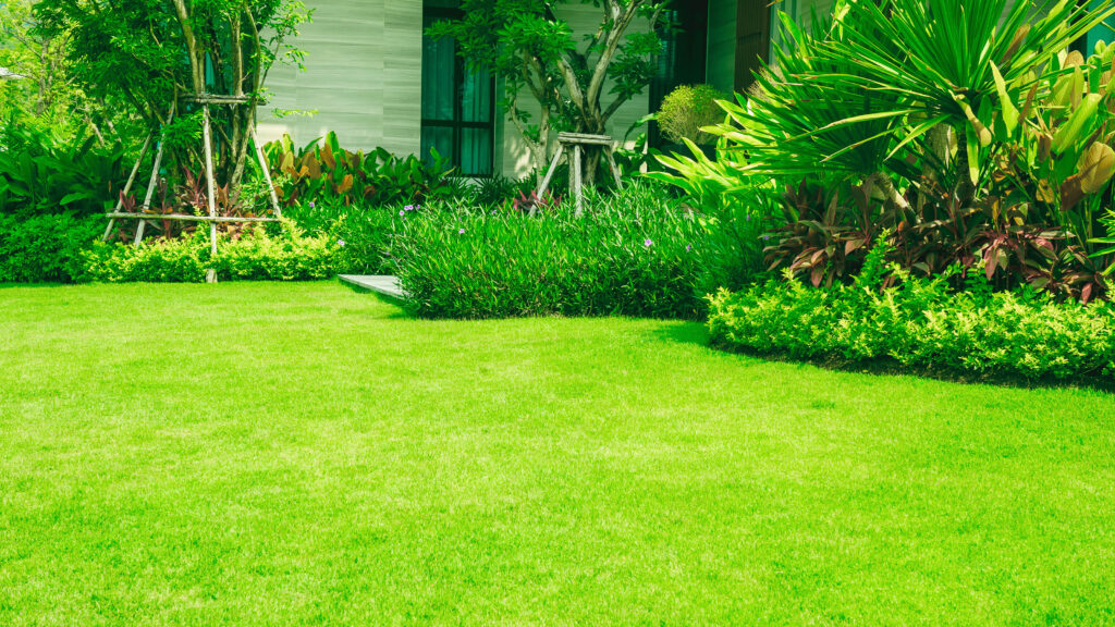Transform Your Outdoors with Greener Grass Landscaping